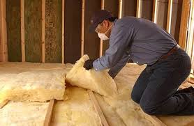 Best Eco-Friendly Insulation Solutions  in Manhasset Hills, NY